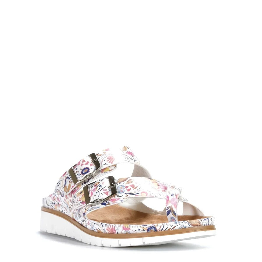 Cassini Momzer Multi Floral