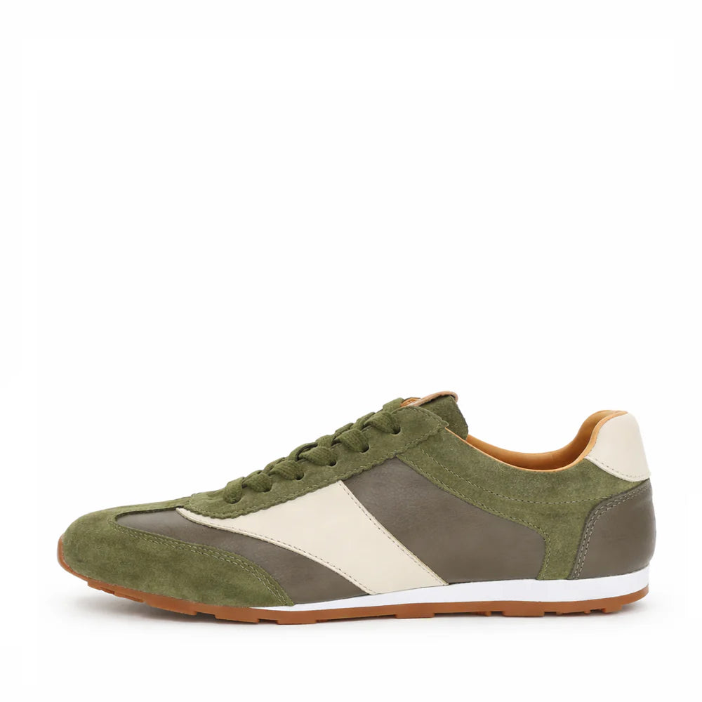 Gelato Gimpo Olive Combo